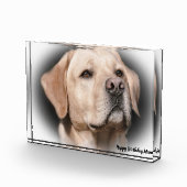 Labrador Dog Fotoblokken (Rechts)