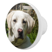 LABRADOR DOG KERAMISCHE KNOP (Rechts)