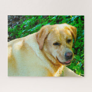 Labrador Dog. Legpuzzel