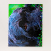 Labrador Dog. Legpuzzel (Verticaal)