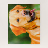 Labrador Dog. Legpuzzel (Verticaal)