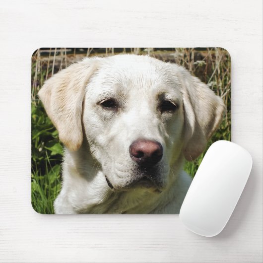 LABRADOR DOG MUISMAT (Met muis)