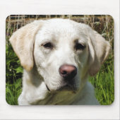 LABRADOR DOG MUISMAT (Voorkant)