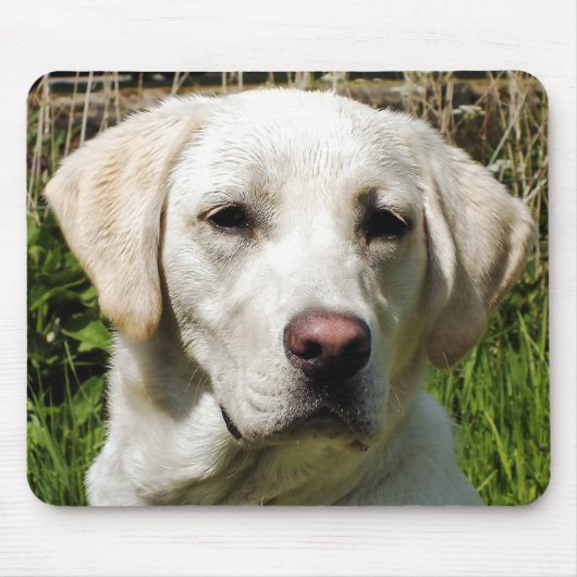 LABRADOR DOG MUISMAT (Voorkant)