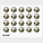 LABRADOR DOG RONDE STICKER (Vel)