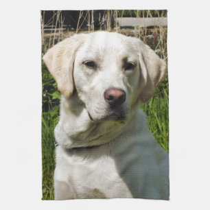 LABRADOR DOG THEEDOEK
