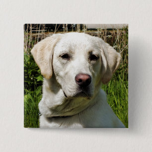 LABRADOR DOG VIERKANTE BUTTON 5,1 CM