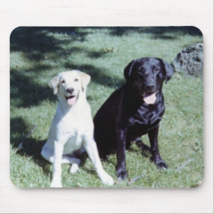 Labrador Dogs Muismat