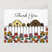 Labrador Duo Vous regarde Carte postale Merci (Devant)