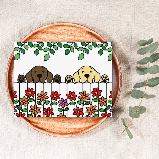 Labrador Duo Vous Regarder Carte Postale