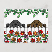 Labrador Duo Vous Regarder Carte Postale (Devant)