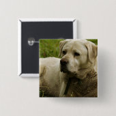 Labrador-foto Vierkante Button 5,1 Cm (Voorkant /achterkant)