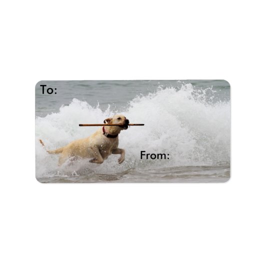 Labrador - Geel - Go Fetch! Etiket (Voorkant)