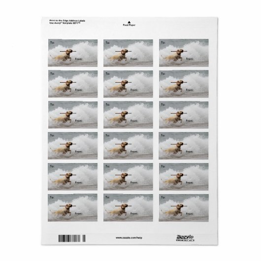 Labrador - Geel - Go Fetch! Etiket (Full Sheet)