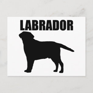 Labrador Gifts! Briefkaart