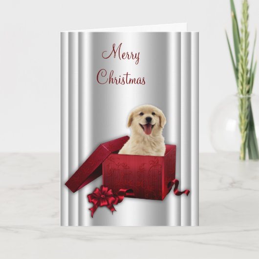 Labrador Golden Retriever Kerst Kaarten (Voorkant)