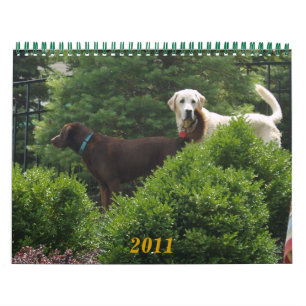 Labrador & Gouden Kalender