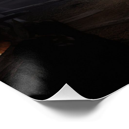 labrador halloween eng perfect poster (Hoek)