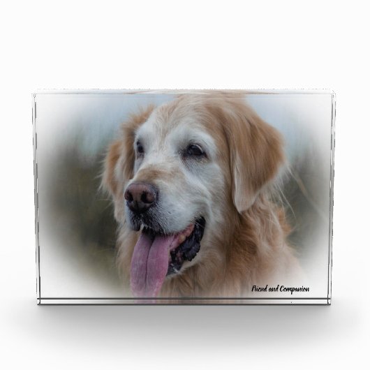 Labrador hond. fotoblokken (Voorkant)