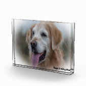 Labrador Hond Fotoblokken (Rechts)