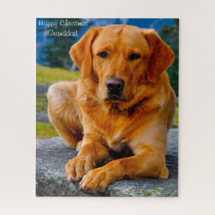 Labrador hond. legpuzzel