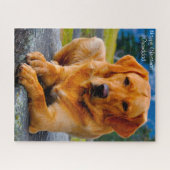 Labrador hond. legpuzzel (Horizontaal)