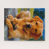 Labrador hond. legpuzzel (Horizontaal)
