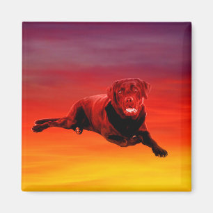 Labrador Hond Zittend op het strand Magneet