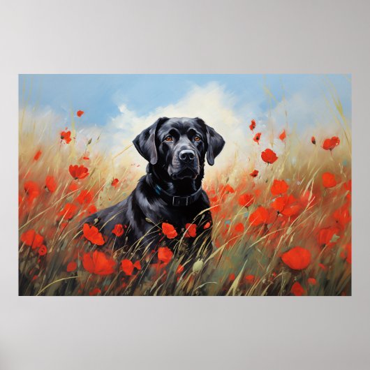 Labrador in papavers poster (Voorkant)