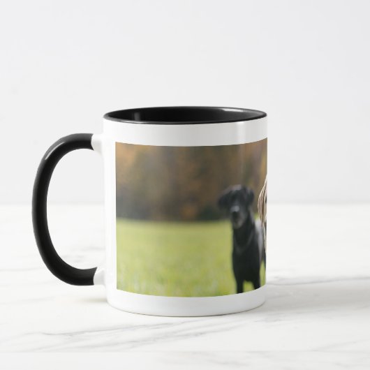 Labrador jaune et noir Noir-A manipulé la tasse de (Gauche)