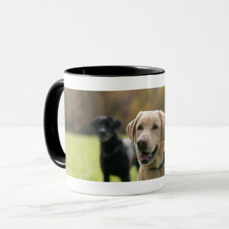 Labrador jaune et noir Noir-A manipulé la tasse de