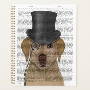 Labrador jaune, Hound officiel et Casquette