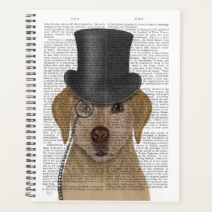 Labrador jaune, Hound officiel et Casquette