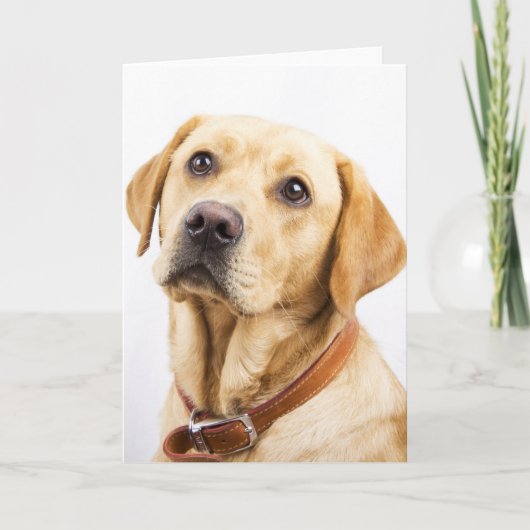 Labrador Kaart (Voorkant)