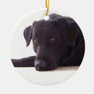labrador keramisch ornament