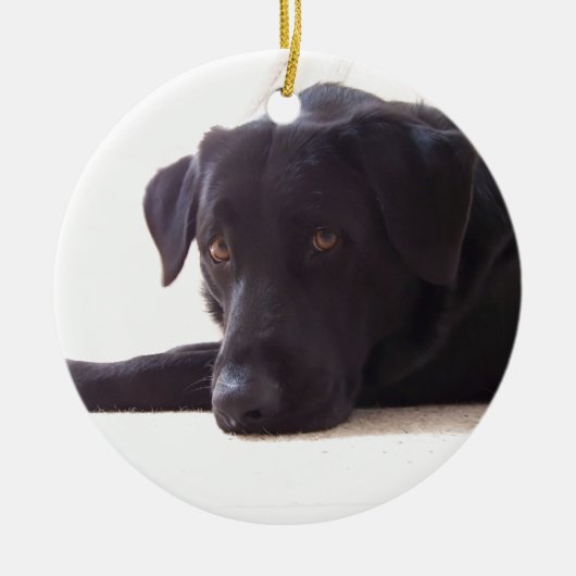 labrador keramisch ornament (Voorkant)