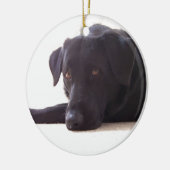 labrador keramisch ornament (Links)