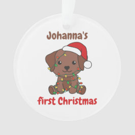 Labrador Kerstwinter, eerste kerstdag Ornament