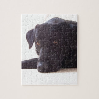 labrador legpuzzel