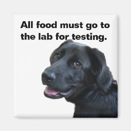 Labrador Love Magneet