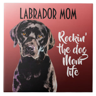 Labrador Ma Ceramic Tile Tegeltje