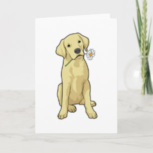 Labrador Madeliefje Kaart