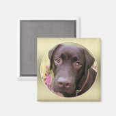 Labrador Magnet Magneet (Voorkant / Achterkant)