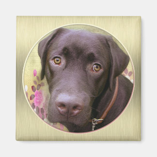 Labrador Magnet Magneet