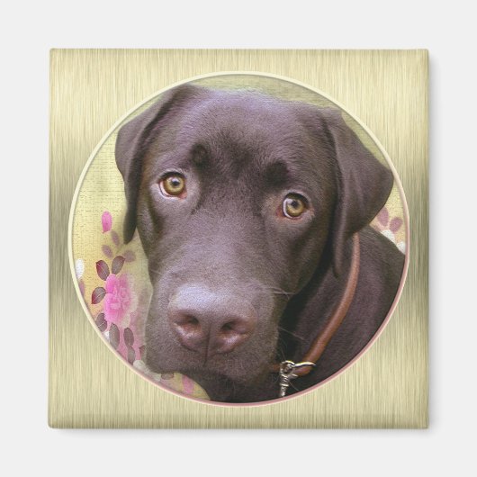 Labrador Magnet Magneet (Voorkant)