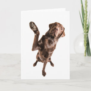 Labrador met een grote vijf kaart