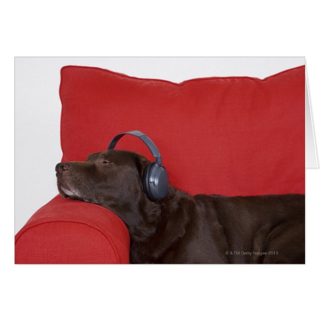 Labrador met hoofdtelefoon op de bank (Voorkant Horizontaal)
