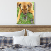 Labrador met rabbits Canvas Print (Insitu (Slaapkamer))