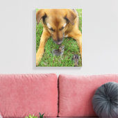 Labrador met rabbits Canvas Print (Insitu (Woonkamer))