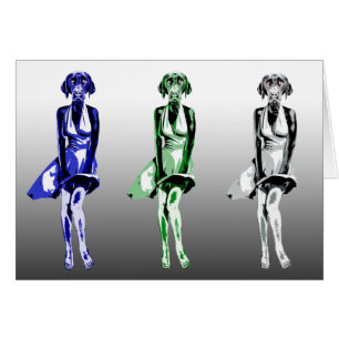 Labrador Monroe - stijl